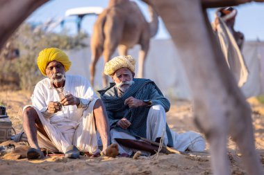 Puşkar, Rajasthan, Hindistan - Kasım 09 2024: Geleneksel giysili rajasthani erkek portresi çöl panayırında deve fuarı sırasında deve ticareti sırasında sarıklı.