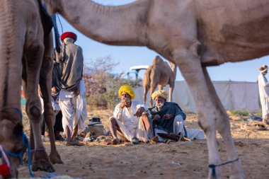 Puşkar, Rajasthan, Hindistan - Kasım 09 2024: Geleneksel giysili rajasthani erkek portresi çöl panayırında deve fuarı sırasında deve ticareti sırasında sarıklı.