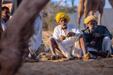 Puşkar, Rajasthan, Hindistan - Kasım 09 2024: Geleneksel giysili rajasthani erkek portresi çöl panayırında deve fuarı sırasında deve ticareti sırasında sarıklı.