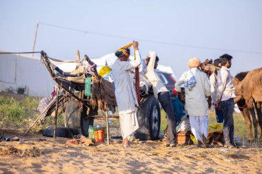 Puşkar, Rajasthan, Hindistan - Kasım 09 2024: Geleneksel giysili rajasthani erkek portresi çöl panayırında deve fuarı sırasında deve ticareti sırasında sarıklı.