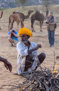 Puşkar, Rajasthan, Hindistan - Kasım 09 2024: Geleneksel giysili rajasthani erkek portresi çöl panayırında deve fuarı sırasında deve ticareti sırasında sarıklı.