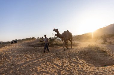 Puşkar, Rajasthan, Hindistan - Kasım 09 2024: Geleneksel giysili bir rajasthani erkek portresi çöl panayırında develerin ticareti sırasında türbanlı..