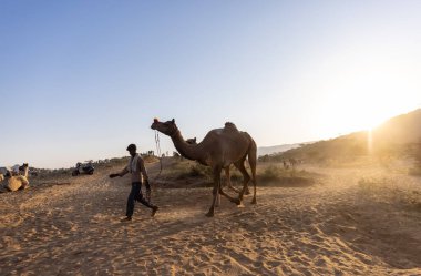 Puşkar, Rajasthan, Hindistan - Kasım 09 2024: Geleneksel giysili bir rajasthani erkek portresi çöl panayırında develerin ticareti sırasında türbanlı..