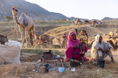 Puşkar, Rajasthan, Hindistan - Kasım 09 2024: Geleneksel giysili bir rajasthani erkek portresi çöl panayırında develerin ticareti sırasında türbanlı..