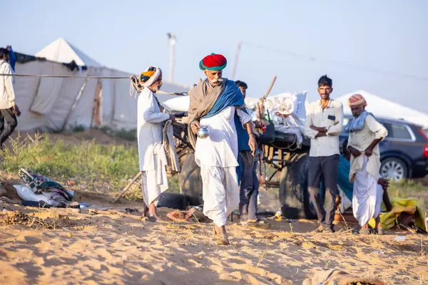 Puşkar, Rajasthan, Hindistan - Kasım 09 2024: Geleneksel beyaz giysili rajasthani erkek portresi çöl panayırında deve fuarı sırasında deve ticareti sırasında sarıklı.