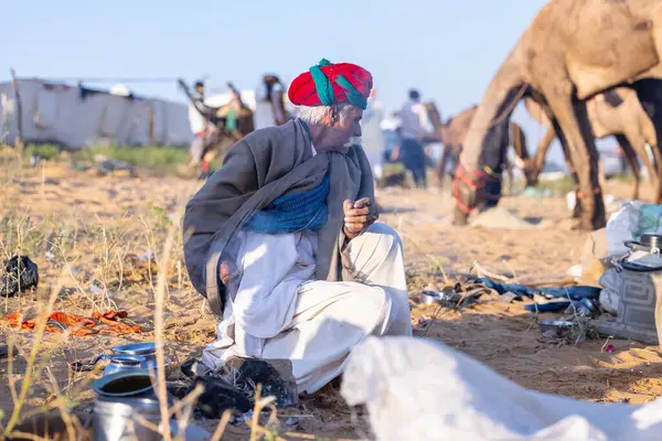 Puşkar, Rajasthan, Hindistan - Kasım 09 2024: Geleneksel giysili rajasthani erkek portresi çöl panayırında deve fuarı sırasında deve ticareti sırasında sarıklı.
