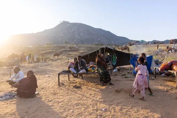 Puşkar, Rajasthan, Hindistan - Kasım 09 2024: Geleneksel beyaz giysili rajasthani erkek portresi çöl panayırında deve fuarı sırasında deve ticareti sırasında sarıklı.