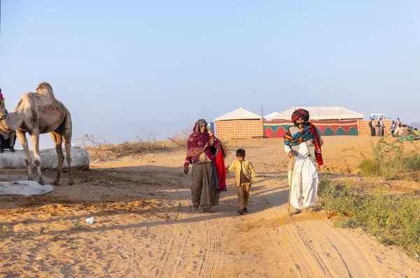 Pushkar Fuarı, deve festivali sırasında kum tepelerinin çöl zemininde deve süslemesi
