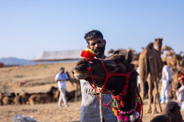 Puşkar, Rajasthan, Hindistan - Kasım 09 2024: Geleneksel beyaz giysili rajasthani erkek portresi çöl panayırında deve fuarı sırasında deve ticareti sırasında sarıklı.