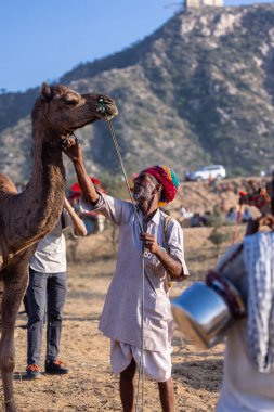Puşkar, Rajasthan, Hindistan - Kasım 09 2024: Geleneksel beyaz giysili rajasthani erkek portresi çöl panayırında deve fuarı sırasında deve ticareti sırasında sarıklı.