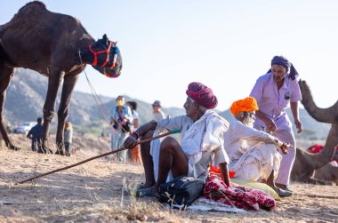 Puşkar, Rajasthan, Hindistan - Kasım 09 2024: Geleneksel beyaz giysili rajasthani erkek portresi çöl panayırında deve fuarı sırasında deve ticareti sırasında sarıklı.