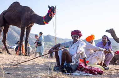 Puşkar, Rajasthan, Hindistan - Kasım 09 2024: Geleneksel beyaz giysili rajasthani erkek portresi çöl panayırında deve fuarı sırasında deve ticareti sırasında sarıklı.