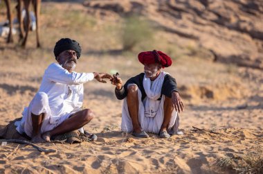 Puşkar, Rajasthan, Hindistan - Kasım 09 2024: Geleneksel beyaz giysili rajasthani erkek portresi çöl panayırında deve fuarı sırasında deve ticareti sırasında sarıklı.