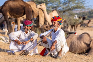 Puşkar, Rajasthan, Hindistan - Kasım 09 2024: Geleneksel beyaz giysili rajasthani erkek portresi çöl panayırında deve fuarı sırasında deve ticareti sırasında sarıklı.