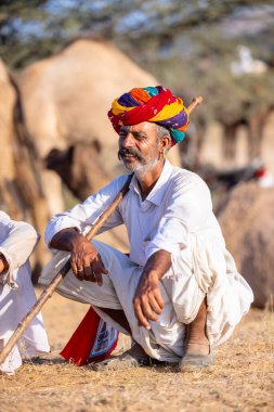 Puşkar, Rajasthan, Hindistan - Kasım 09 2024: Geleneksel beyaz giysili rajasthani erkek portresi çöl panayırında deve fuarı sırasında deve ticareti sırasında sarıklı.