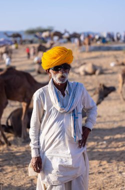 Puşkar, Rajasthan, Hindistan - Kasım 09 2024: Geleneksel beyaz giysili rajasthani erkek portresi çöl panayırında deve fuarı sırasında deve ticareti sırasında sarıklı.