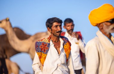 Puşkar, Rajasthan, Hindistan - Kasım 09 2024: Geleneksel beyaz elbiseli bir rajasthani erkeğinin portresi çöl panayırında deve pazarında deve ticareti yaparken renkli sarıklı.
