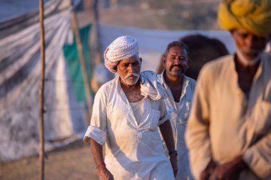 Puşkar, Rajasthan, Hindistan - Kasım 09 2024: Geleneksel beyaz elbiseli bir rajasthani erkeğinin portresi çöl panayırında deve pazarında deve ticareti yaparken renkli sarıklı.