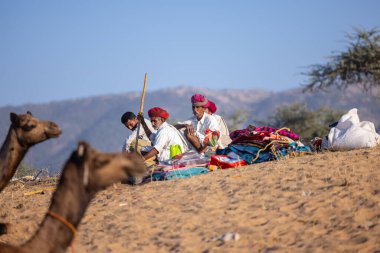 Puşkar, Rajasthan, Hindistan - Kasım 09 2024: Geleneksel beyaz elbiseli bir rajasthani erkeğinin portresi çöl panayırında deve pazarında deve ticareti yaparken renkli sarıklı.