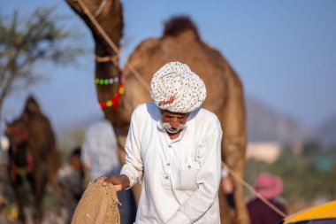 Puşkar, Rajasthan, Hindistan - 09 Kasım 2024: Çöldeki fuar alanında develerin ticareti sırasında geleneksel giysili bir Rajasthani halkının portresi.
