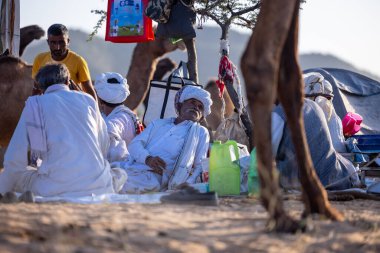 Puşkar, Rajasthan, Hindistan - 09 Kasım 2024: Çöldeki fuar alanında develerin ticareti sırasında geleneksel giysili bir Rajasthani halkının portresi.