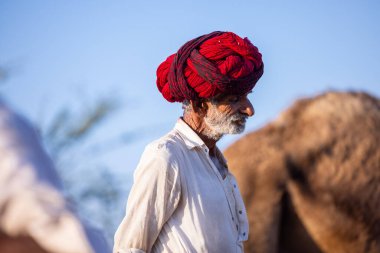 Puşkar, Rajasthan, Hindistan - 09 Kasım 2024: Çöldeki fuar alanında develerin ticareti sırasında geleneksel giysili bir Rajasthani halkının portresi.
