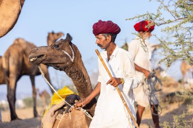 Puşkar, Rajasthan, Hindistan - 09 Kasım 2024: Çöldeki fuar alanında develerin ticareti sırasında geleneksel giysili bir Rajasthani halkının portresi.