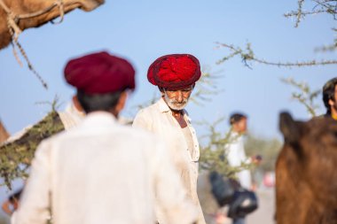 Puşkar, Rajasthan, Hindistan - 09 Kasım 2024: Çöldeki fuar alanında develerin ticareti sırasında geleneksel giysili bir Rajasthani halkının portresi.