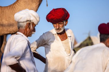 Puşkar, Rajasthan, Hindistan - 09 Kasım 2024: Çöldeki fuar alanında develerin ticareti sırasında geleneksel giysili bir Rajasthani halkının portresi.