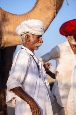 Puşkar, Rajasthan, Hindistan - 09 Kasım 2024: Çöldeki fuar alanında develerin ticareti sırasında geleneksel giysili bir Rajasthani halkının portresi.