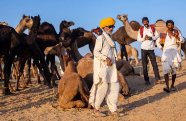Puşkar, Rajasthan, Hindistan - 09 Kasım 2024: Çöldeki fuar alanında develerin ticareti sırasında geleneksel giysili bir Rajasthani halkının portresi.