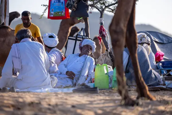 Puşkar, Rajasthan, Hindistan - 09 Kasım 2024: Çöldeki fuar alanında develerin ticareti sırasında geleneksel giysili bir Rajasthani halkının portresi.