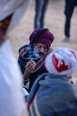 Pushkar Fuarı, deve festivali sırasında kum tepelerinin çöl zemininde deve süslemesi