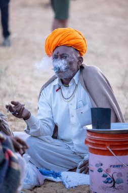 Pushkar Fuarı, deve festivali sırasında kum tepelerinin çöl zemininde deve süslemesi