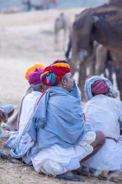 Pushkar Fuarı, deve festivali sırasında kum tepelerinin çöl zemininde deve süslemesi