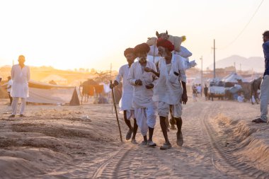 Pushkar Fuarı, deve festivali sırasında kum tepelerinin çöl zemininde deve süslemesi