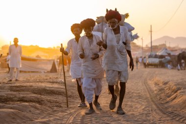 Pushkar Fuarı, deve festivali sırasında kum tepelerinin çöl zemininde deve süslemesi