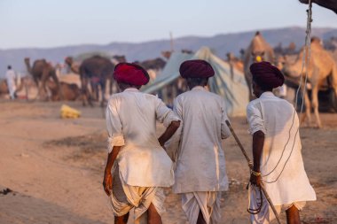 Pushkar Fuarı, deve festivali sırasında kum tepelerinin çöl zemininde deve süslemesi