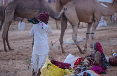 Pushkar Fuarı, deve festivali sırasında kum tepelerinin çöl zemininde deve süslemesi