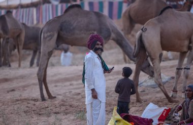 Pushkar Fuarı, deve festivali sırasında kum tepelerinin çöl zemininde deve süslemesi