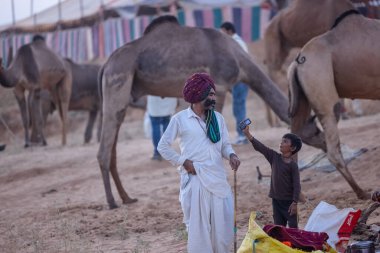 Pushkar Fuarı, deve festivali sırasında kum tepelerinin çöl zemininde deve süslemesi