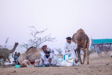 Pushkar Fuarı, deve festivali sırasında kum tepelerinin çöl zemininde deve süslemesi