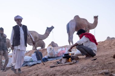 Pushkar Fuarı, deve festivali sırasında kum tepelerinin çöl zemininde deve süslemesi