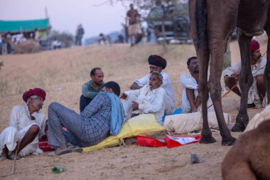 Pushkar Fuarı, deve festivali sırasında kum tepelerinin çöl zemininde deve süslemesi