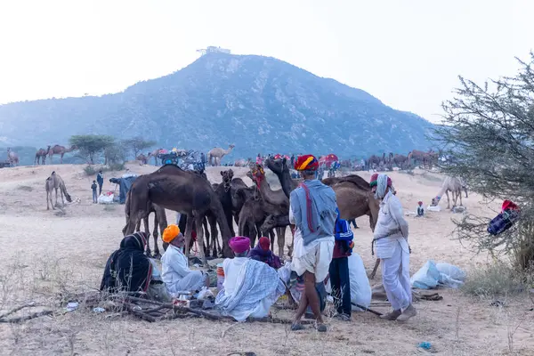 Puşkar, Rajasthan, Hindistan - Kasım 09 2024: Geleneksel beyaz elbiseli bir rajasthani erkeğinin portresi çöl panayırında deve pazarında deve ticareti yaparken renkli sarıklı.