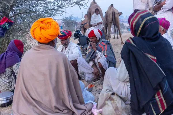 Puşkar, Rajasthan, Hindistan - Kasım 09 2024: Geleneksel beyaz elbiseli bir rajasthani erkeğinin portresi çöl panayırında deve pazarında deve ticareti yaparken renkli sarıklı.