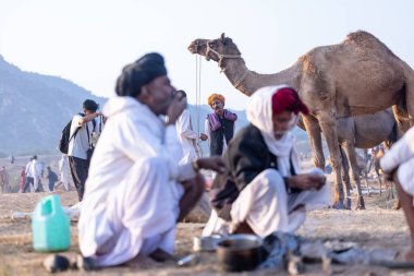 Puşkar, Rajasthan, Hindistan - 10 Kasım 2024: Deve ticareti karşılığında deve fuarı sırasında çöl fuarındaki Rajasthani erkeklerinin portresi.