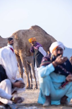 Puşkar, Rajasthan, Hindistan - 10 Kasım 2024: Deve ticareti karşılığında deve fuarı sırasında çöl fuarındaki Rajasthani erkeklerinin portresi.