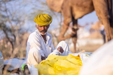 Puşkar, Rajasthan, Hindistan - 10 Kasım 2024: Geleneksel beyaz giysili rajasthani erkek portresi çöl panayırında renkli türbanlı deve fuarı sırasında develeri takas etmek için.