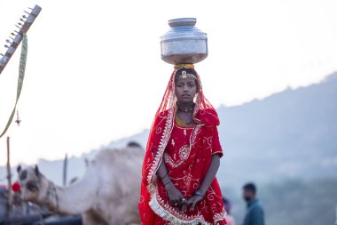 Puşkar, Rajasthan, Hindistan - 10 Kasım 2024: Geleneksel beyaz giysili rajasthani erkek portresi çöl panayırında renkli türbanlı deve fuarı sırasında develeri takas etmek için.